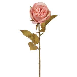 Premium Rose Stem 17" Dusty Pink | Pioneer Wholesale Rose Stems