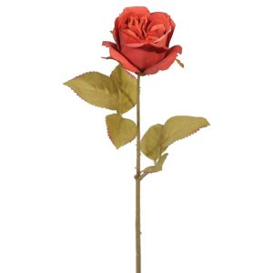 Premium Rose Stem 17" Flame | Pioneer Wholesale Rose Stems