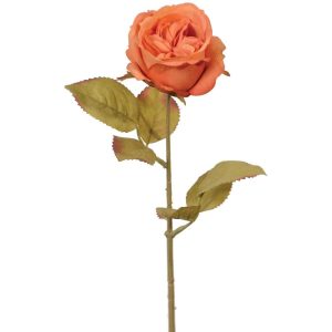 Premium Rose Stem 17" Terracotta | Pioneer Wholesale Rose Stems