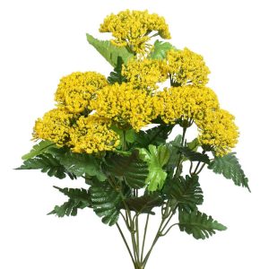 Queen Anne’s Lace Bush x9, 18" | Pioneer Wholesale Single Variety Flower Bushes