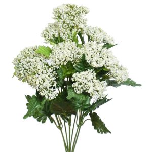 Queen Anne’s Lace Bush x9, 18" White | Pioneer Wholesale Single Variety Flower Bushes