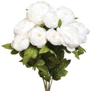 Ranunculus Bush x9, 18.5" Chalk | Pioneer Wholesale Single Variety Flower Bushes