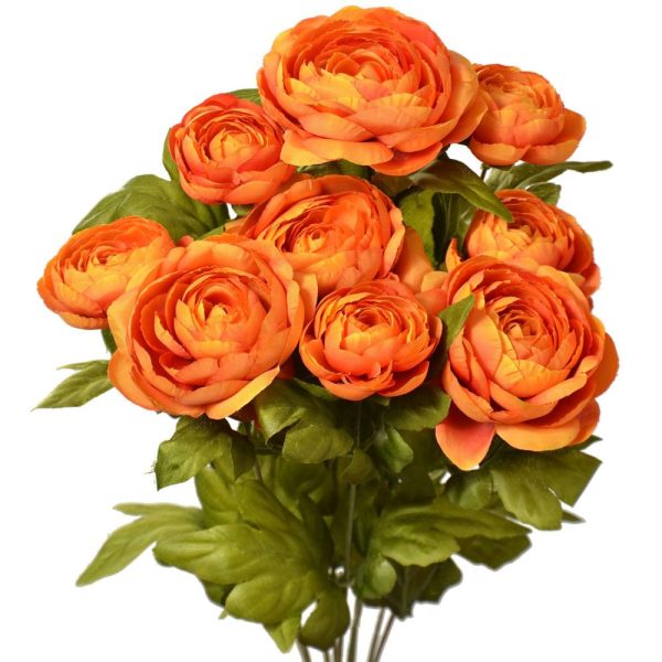 Ranunculus Bush x9, 18.5" Orange Marmalade | Pioneer Wholesale Single Variety Flower Bushes