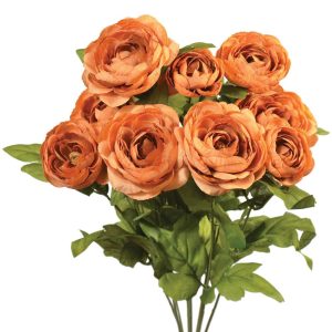 Ranunculus Bush x9, 18.5" Sandstone | Pioneer Wholesale Single Variety Flower Bushes