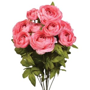 Ranunculus Bush x9, 18.5" Strawberry Punch | Pioneer Wholesale Single Variety Flower Bushes