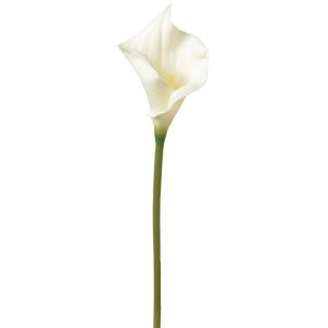 Real Touch Calla Lily Stem 24" White | Pioneer Wholesale Premium Stems