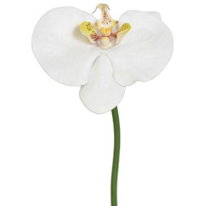 Real Touch Phalaenopsis Orchid Pick 10" White/Green | Pioneer Wholesale Orchid Stems