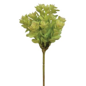 Real Touch Sedum Pick 7.5" Two-Tone Green | Pioneer Wholesale Succulents