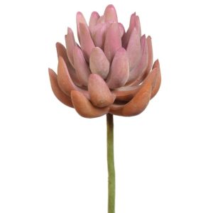 Real Touch Senecio Succulent Pick 6.5" Two-Tone Coral | Pioneer Wholesale Succulents