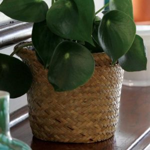 Rolled Rim Seagrass Planter (Fits 6" Azalea Pot) 8×6.5"- Natural | Pioneer Wholesale Seagrass