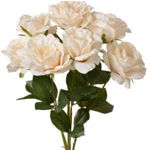 Rose Bush x5 (with 7 blooms), 20" Cream | Pioneer Wholesale Single Variety Flower Bushes