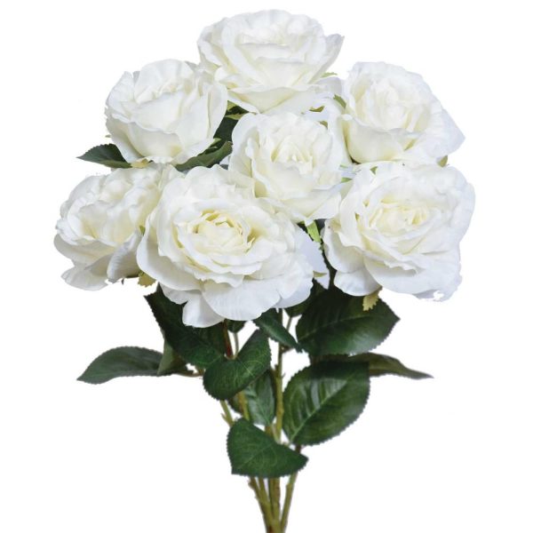 Rose Bush x5 (with 7 blooms), 20" White | Pioneer Wholesale Single Variety Flower Bushes