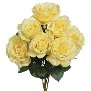 Rose Bush x5 (with 7 blooms), 20" Yellow | Pioneer Wholesale Single Variety Flower Bushes