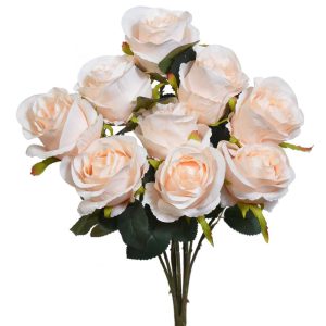 Rose Bush x9, 17.5" Soft Peach | Pioneer Wholesale Single Variety Flower Bushes