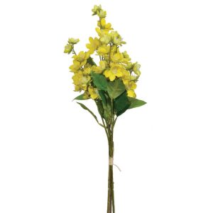 Rose Myrtle Bundle x3, 24" Yellow | Pioneer Wholesale Filler Bushes