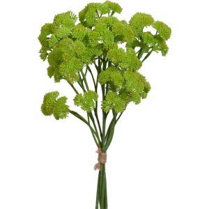 Sedum Bundle x5, 17" Green | Pioneer Wholesale Succulents