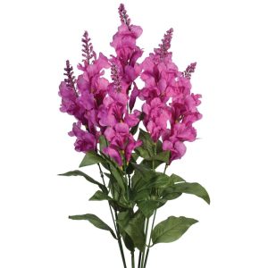 Snapdragon Bush x7, 24" Purple | Pioneer Wholesale Single Variety Flower Bushes