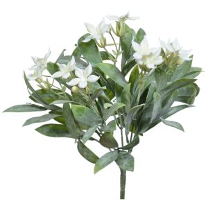 Stephanotis Bush x5, 11" White | Pioneer Wholesale Filler Bushes