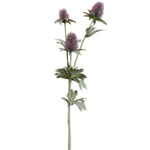 Thistle Spray 31" Lavender | Pioneer Wholesale Other Stems