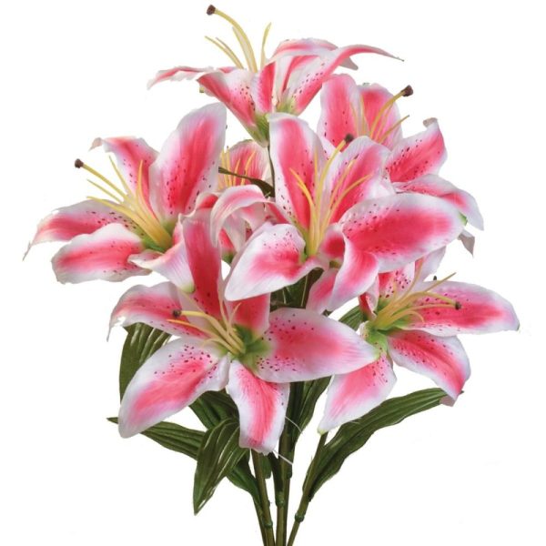 Tiger Lily Bush x7, 20" Rubrum | Pioneer Wholesale Monument Bushes