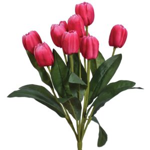 Tulip Bush x9, 18" Pink | Pioneer Wholesale Single Variety Flower Bushes