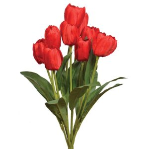 Tulip Bush x9, 18" Red | Pioneer Wholesale Single Variety Flower Bushes