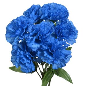 Value Carnation Bush x7, 13" Blue | Pioneer Wholesale Monument Bushes