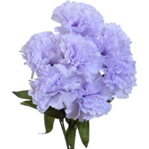 Value Carnation Bush x7, 13" Lavender | Pioneer Wholesale Single Variety Flower Bushes