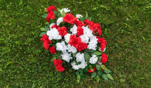 Value Carnation Bush x7, 13" Red | Pioneer Wholesale Monument Bushes