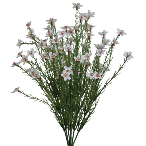 Waxflower Bush x7, 16" Cream | Pioneer Wholesale Filler Bushes