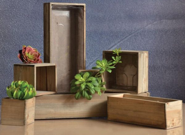 Woodland Square Planter 5×5" Natural | Pioneer Wholesale Cubes