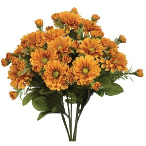 Zinnia Bush x7, 15" Gold | Pioneer Wholesale Single Variety Flower Bushes