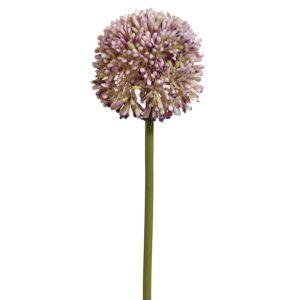 Allium Stem 17.5" Violet | Pioneer Wholesale Other Stems