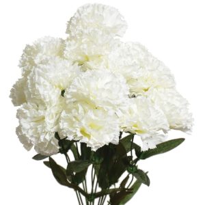 Carnation Bush x14, 18" Cream | Pioneer Wholesale Monument Bushes