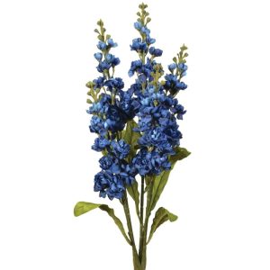 Delphinium Bush x5, 24" Navy | Pioneer Wholesale Spike Flower Bushes