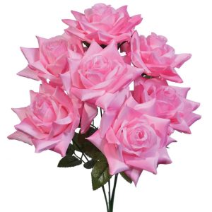 May Rose Bush x7, 19" Pink | Pioneer Wholesale Monument Bushes