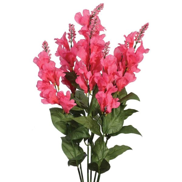 Snapdragon Bush x7, 24" Beauty | Pioneer Wholesale Single Variety Flower Bushes