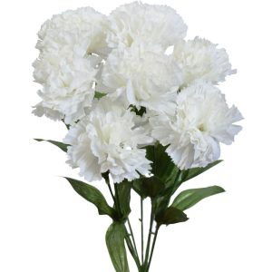 Value Carnation Bush x7, 13" White | Pioneer Wholesale Single Variety Flower Bushes