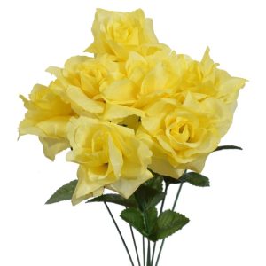 Value Rose Bush x7, 15" Yellow | Pioneer Wholesale Single Variety Flower Bushes