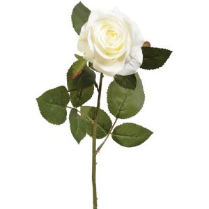 Colorfast Elegant Open Rose Stem 25" Cream | Pioneer Wholesale Rose Stems