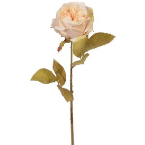 Premium Rose Stem 17" Beige | Pioneer Wholesale Rose Stems