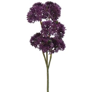 Sedum Spray 12" Dark Purple | Pioneer Wholesale Succulents