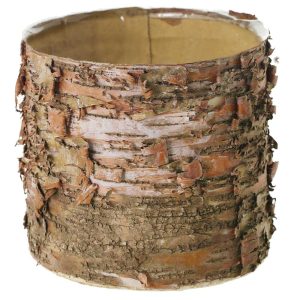 Birch Cylinder Planter 6×5.5" Natural | Pioneer Wholesale Round